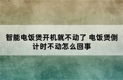 智能电饭煲开机就不动了 电饭煲倒计时不动怎么回事